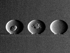 TomoShop_phase_fringe_MidorinoResearch_300